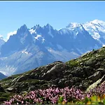 Hotel Le Dahu