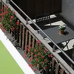 Le Dahu Hotel 2*